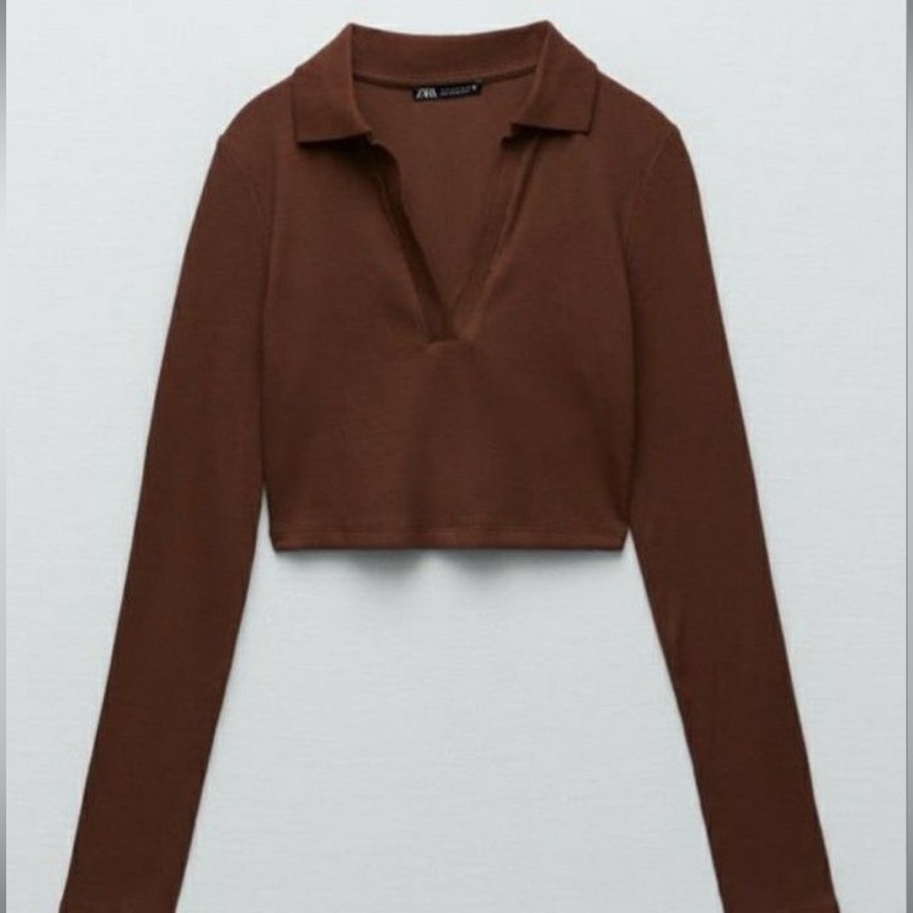 Zara // brown long sleeve collared crop top